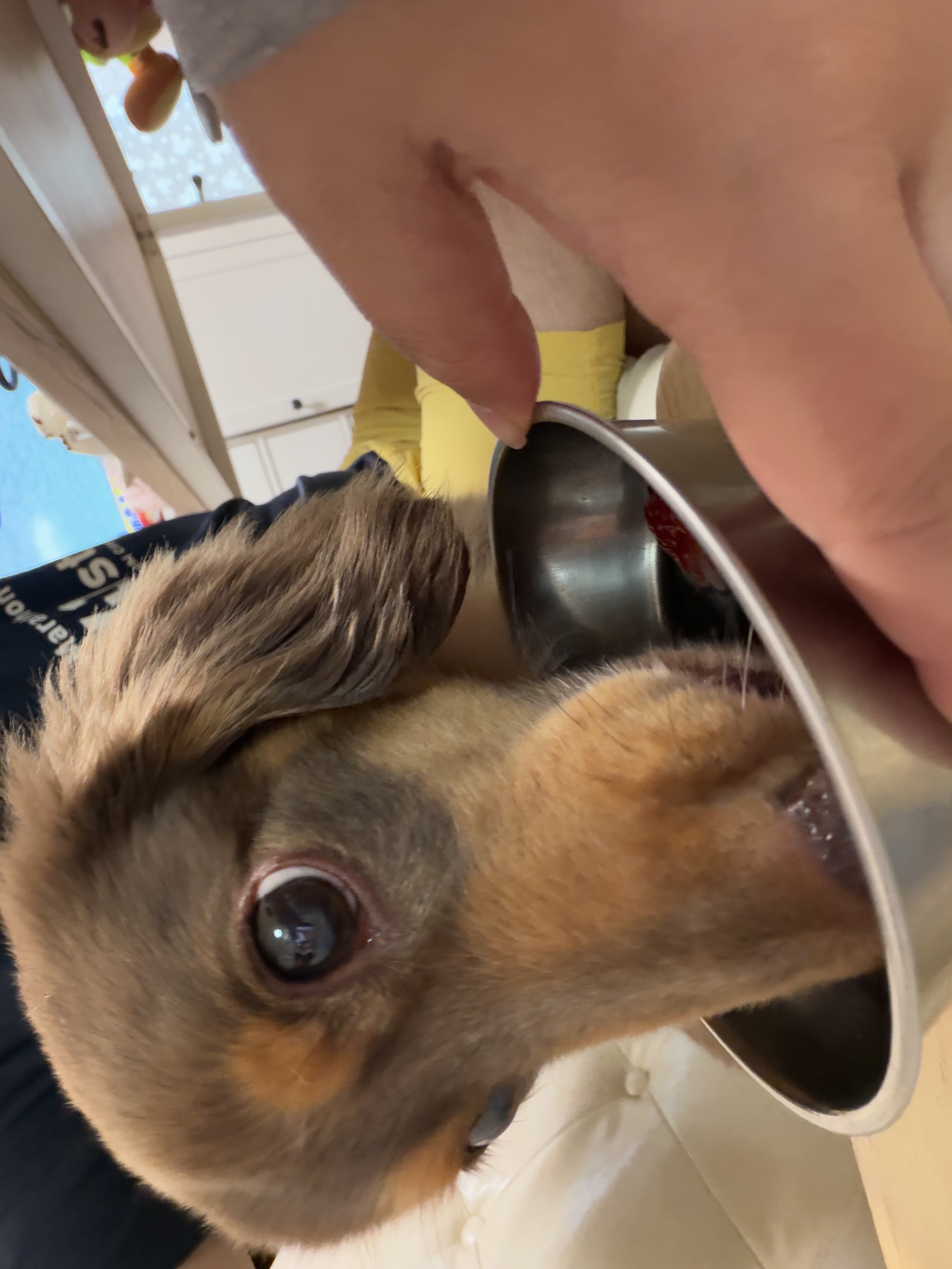 僕の写真